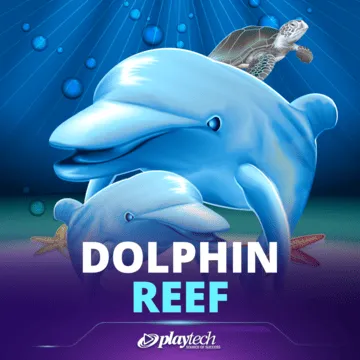 Dolphin Reef